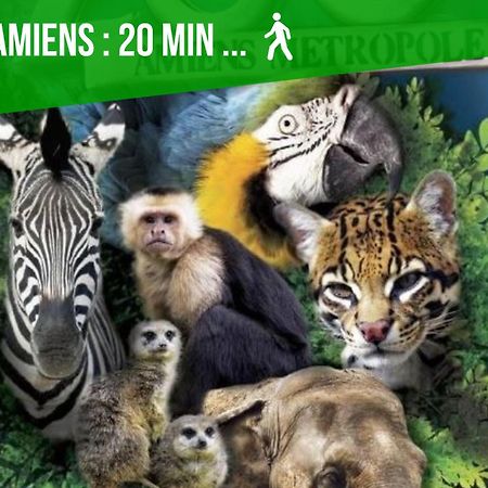 Duplex Safari Jusqu'A 4 Personnes, Spa, Cinema Et Lit Sous Les Arbres, Day Use, 10 Min Centre Amiens Bagian luar foto